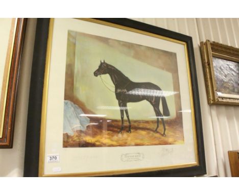 Juliet McLean signed equine print portrait of race horse Scottish Rifle 