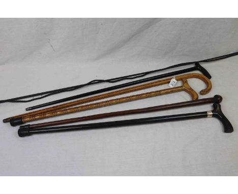 Collection of Five Walking Sticks plus Horse / Pony Lunging Whip