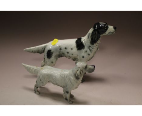 A BESWICK MODEL OF AN ENGLISH GREY SETTER BAYL DONE BARONET TOGETHER WITH A LARGER MODEL OF A DOG