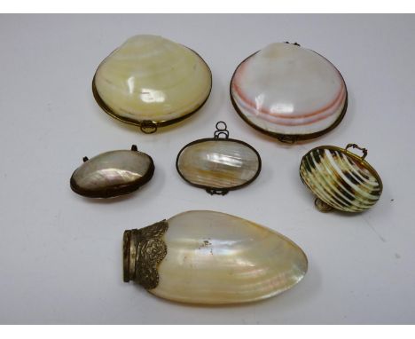 A collection of sea shell trinket boxes, three made from clam shells and three made from sections of turban shells. With bras