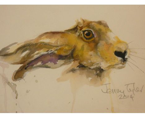 A framed and glazed watercolour portrait of a hare by watercolour portraitist and wire work sculptor Jenny Tyler, signed and 