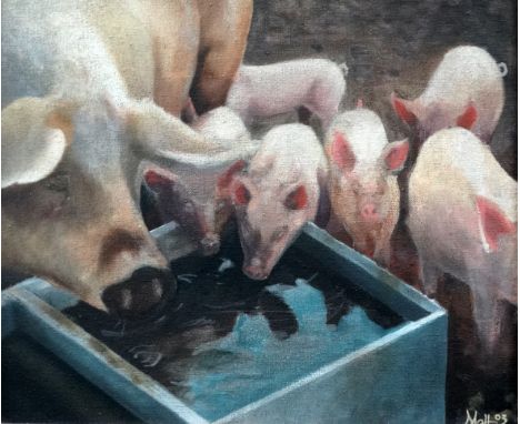 MATT (British 20th Century) Pigs at a Water Trough  Oil on canvas  Signed and dated '03 lower right Framed Picture size 31 x 