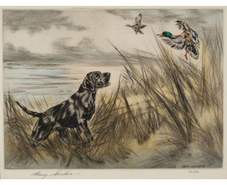 Wilkinson (Henry 1921 - 2011). Eight etchings of Dogs, coloured dry-point etchings, signed by the artist in pencil and with l