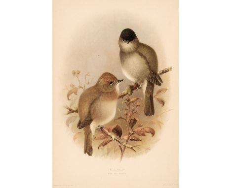 Howard (Henry Eliot). The British Warblers. A History with Problems of their Lives, 2 volumes, 1st edition, London: R.H. Port