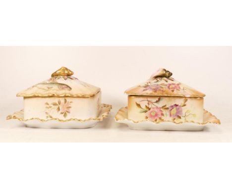 Carltonware Wiltshaw &amp; Robinson Ivory Blushware Hibiscus sardine dish (a/f) and floral and fish sardine dish (2) 
