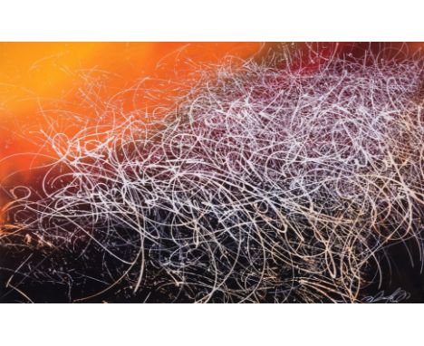 Jose Parla (b.1973)Seeing in PhospheneUV pigment print in colours, 2022, signed in white ink, from the edition of 380, publis