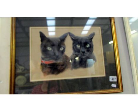 A Robert Brough (20th c British Oil Pastel on on paper Signed 30/40, a portait of 2 kittens artist label verso framed/glazed