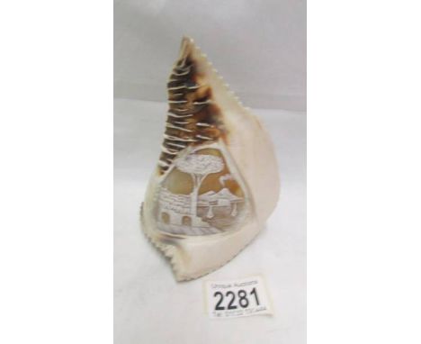 A carved conch shell as a lamp shade.