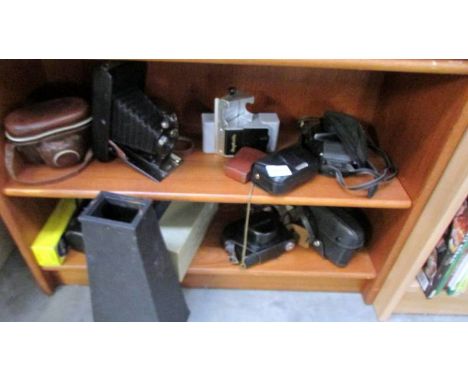 2 shelves of vintage cameras