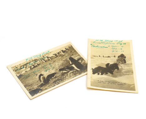 Two signed Antarctic expedition postcards,signed by Captain Ernest Edward Mills Joyce, depicting a group of penguins, and a m