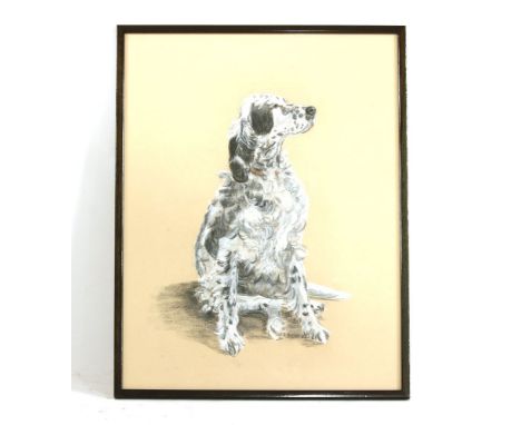 Caroline Wallace (Contemporary)PASTEL PORTRAIT OF AN ENGLISH SETTERsigned `piglet82', framed60cm x 44.5cm