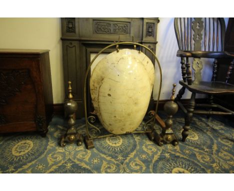 Edwardian brass framed Blonde Loggerhead Turtle (Caretta caretta) firescreen, 82cm x 62cm, later block feet. Note: Sold with 