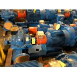 Baldor SuperE 40 HP Motor & Paco Pump