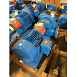 Baldor SuperE 40 HP Motor & Paco Pump