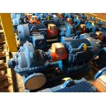 Baldor SuperE 100 HP Motor & Paco Pump