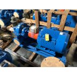 Baldor SuperE 100 HP Motor & Paco Pump