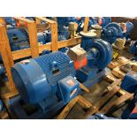 Baldor SuperE 60 HP Motor & Paco Pump