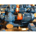 Baldor SuperE 40 HP Motor & Paco Pump