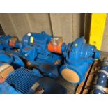 Baldor SuperE 100 HP Motor & Paco Pump