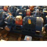 Baldor SuperE 100 HP Motor & Paco Pump