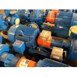 Baldor SuperE 100 HP Motor & Paco Pump
