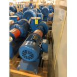 Baldor SuperE 75 HP Motor & Paco Pump