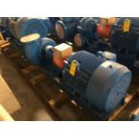 Baldor SuperE 100 HP Motor & Paco Pump