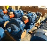 Baldor SuperE 100 HP Motor & Paco Pump