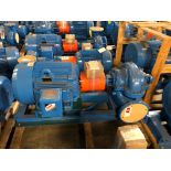 Baldor SuperE 100 HP Motor & Paco Pump
