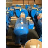 Baldor SuperE 50 HP Motor & Paco Pump