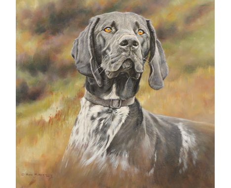 Alan M Hunt (British born 1947) ARR Oil on canvas, signed 'Portrait of a Gun Dog' 50cm x 50cm The oil on canvas is in excelle
