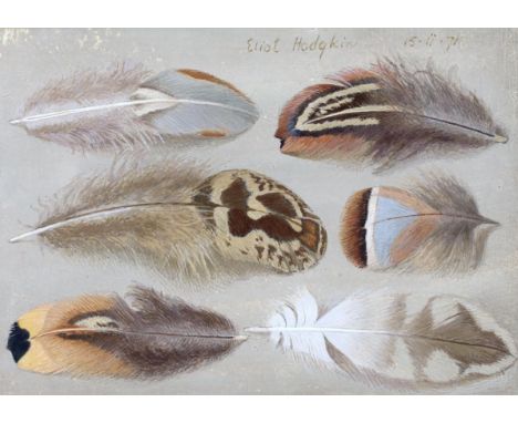 § § Eliot Hodgkin (English, 1905-1987) 'Six Feathers'tempera on cardsigned and dated 15.ii.71 and inscribed verso10.75 x 15.2