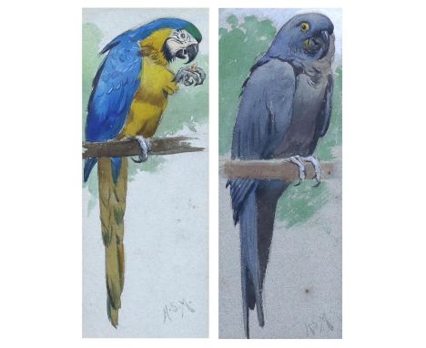 Henry Stacy Marks R.A., (British, 1829-1898) Blue and Yellow Macaw and Hyacinth Macawwatercolour (2)monogrammedeach 17.5 x 7c
