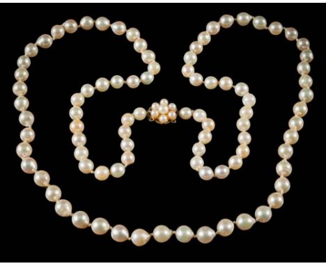 A graduated cultured pearl single-string necklace: with individually knotted, cultured pearls graduating from approximately 5