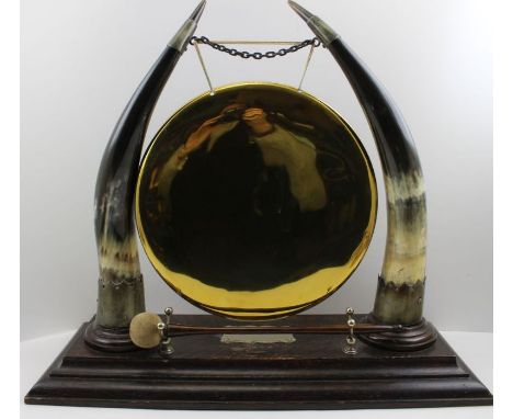 An Edwardian dinner gong, formed with a pair of cow horns, raised upon an oak base, 55cm x 22cm, brass gong and hammer on sta