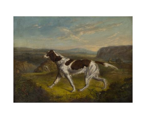 RAMSAY RICHARD REINAGLE (BRITISH 1775-1862)POINTER ON A GROUSE MOOR Oil on canvas43cm x 59cm (17in x 23.5in)Provenance:Parker