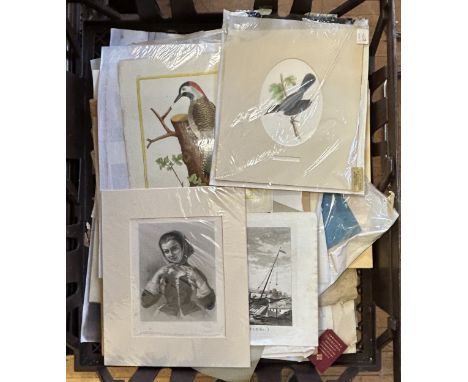 Assorted pictures and prints (box)