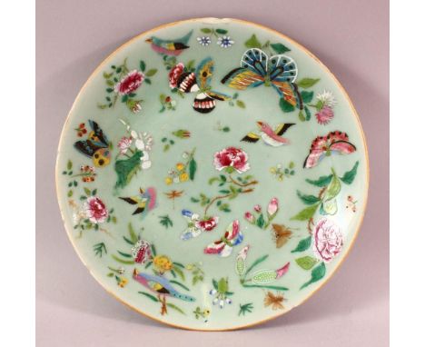 A 19TH CENTURY CHINESE CELADON FAMILLE ROSE PORCELAIN PLATE, With decoration of birds, flowers and butterflies, the underside