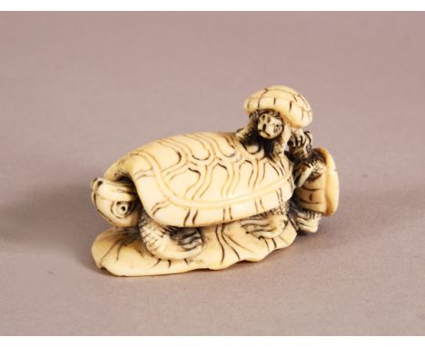 A JAPANESE MEIJI PERIOD CARVED IVORY NETSUKE in the form of a turtle upon a lily pad with two hatchlings at the rear, the und