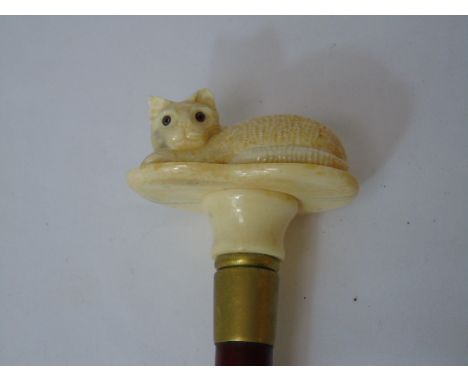 Carved bone walking stick in the form of a cat laying down approx 34" long