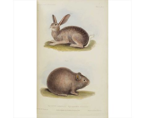 Waterhouse, G., R. A Natural History of the Mammalia London: Hippolyte Baillière, 1846. 4to, 2 volumes, plates, panelled gree