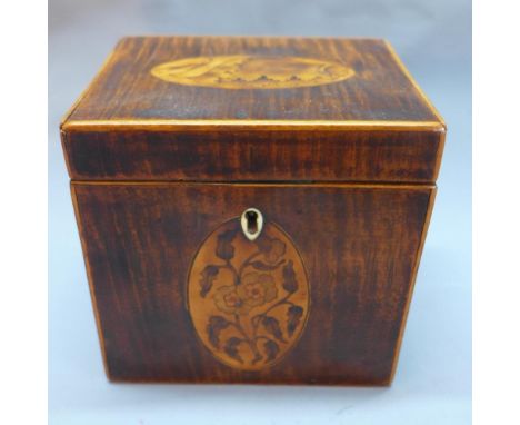 An early 19th century harewood tea caddy with inlaid shell lid, H.11cm W.11.5cm D.9cm 