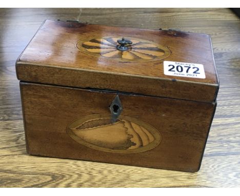 A small Georgian tea caddy inlaid with shells, two compartments and brass catch
