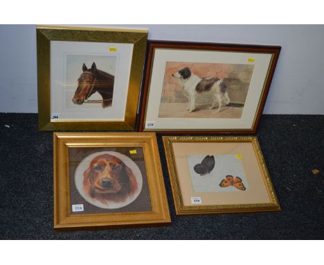 Watercolours - A horses head; Portrait of a Collie; A study of Butterflies; together with a pastel painting - An Irish Red Se