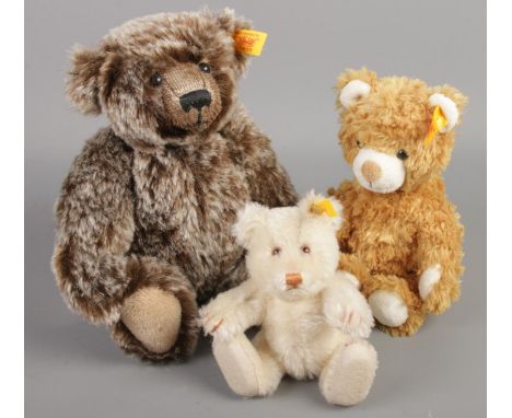 Three Steiff bears all with button to the ear.  
