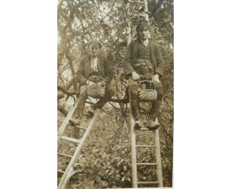 A brown plastic album containing approximately 130 RP and other postcards each detailing a ladder somewhere in the illustrati