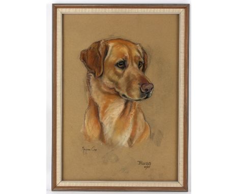 Marjorie Cox (British 1915-2003)/Russ/portrait of a Labrador/signed and dated 1965/pastel, 48.5cm x 33.5cm and/R Beavis/Studi