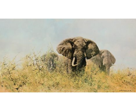 David Shepherd (British, 1931-2017)/'Biscuits'/signed in pencil/limited edition 879/lithograph, image plate, 37cm x 41cm and/