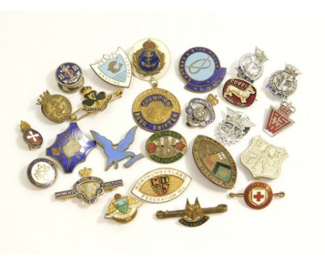CLUB & ASSOCIATION ETC. BADGES. Twenty-five, various club, association, organisation etc. badges. (25) Condition: All appear 