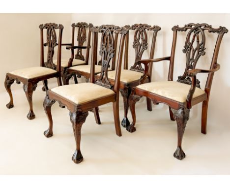 A set of six George III style mahogany dining chairs in the Chippendale manner - early 20th century, including two carvers, t